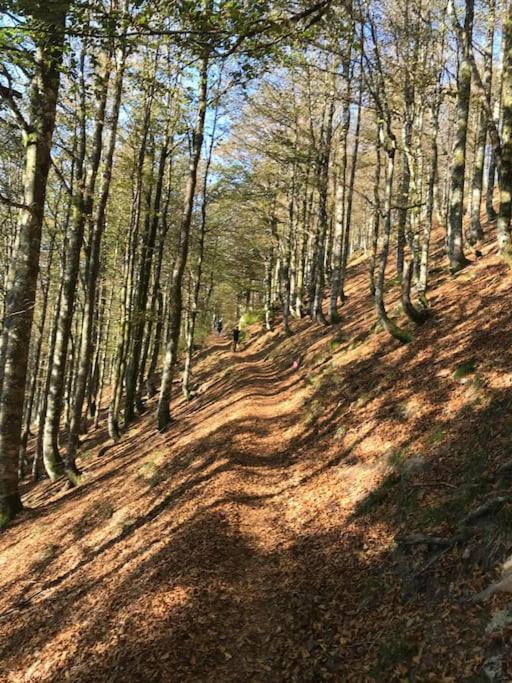 제라르메르 La Magie Entre Deux Lacs 빌라 외부 사진